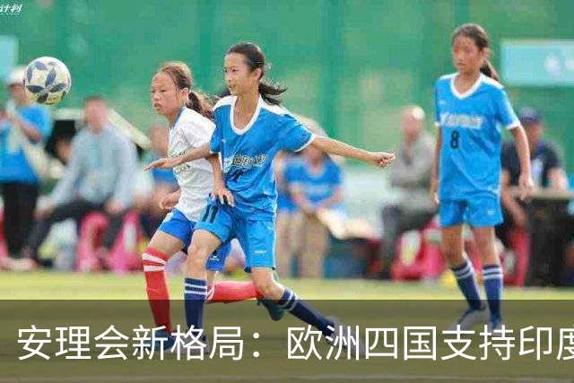 安理会新格局：欧洲四国支持印度入常，俄方力挺扩员，中方态度微妙