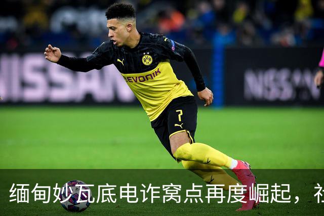 缅甸妙瓦底电诈窝点再度崛起，社交平台上招募嫌疑人